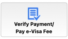 Как оплатить e-Visa в Индию при самостоятельном заполнении анкеты