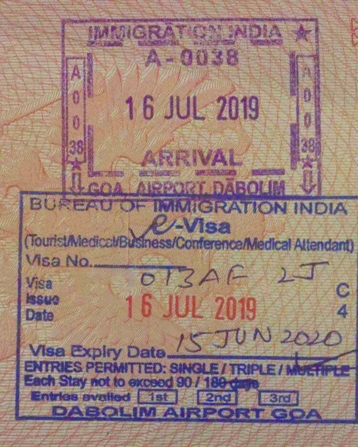 Электронная годовая виза в Индию, гоа. visa India one yaers